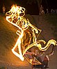 IMG_2032.jpg